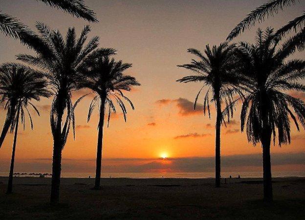 Patacona Mare Nostrum Apartment II Valensiya Dış mekan fotoğraf